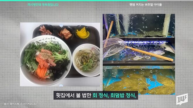 우리나라 피시방에 무슨 일이_ 회정식, 흑돼지 삼겹살 파는 정육점 피시방 등장 _ 14F 1-0 screenshot.png