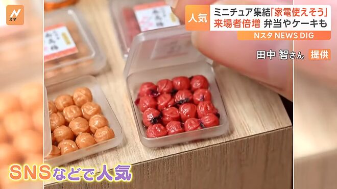 まるで本物のようなミニチュアアートの作品展　来場者数は去年の倍　超リアルな12分の1の世界とは！？｜TBS&nbsp;NEWS&nbsp;DIG 0-34 screenshot.png