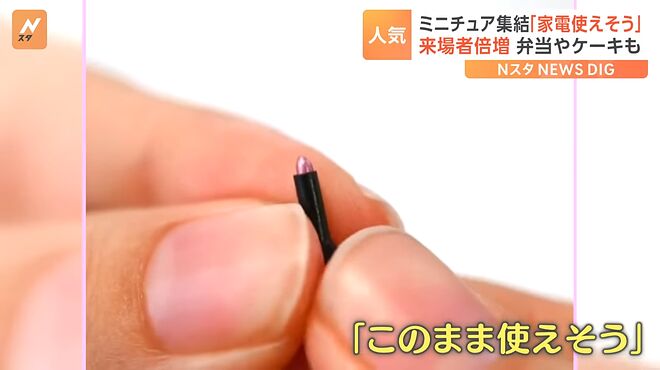 まるで本物のようなミニチュアアートの作品展　来場者数は去年の倍　超リアルな12分の1の世界とは！？｜TBS&nbsp;NEWS&nbsp;DIG 1-28 screenshot.png