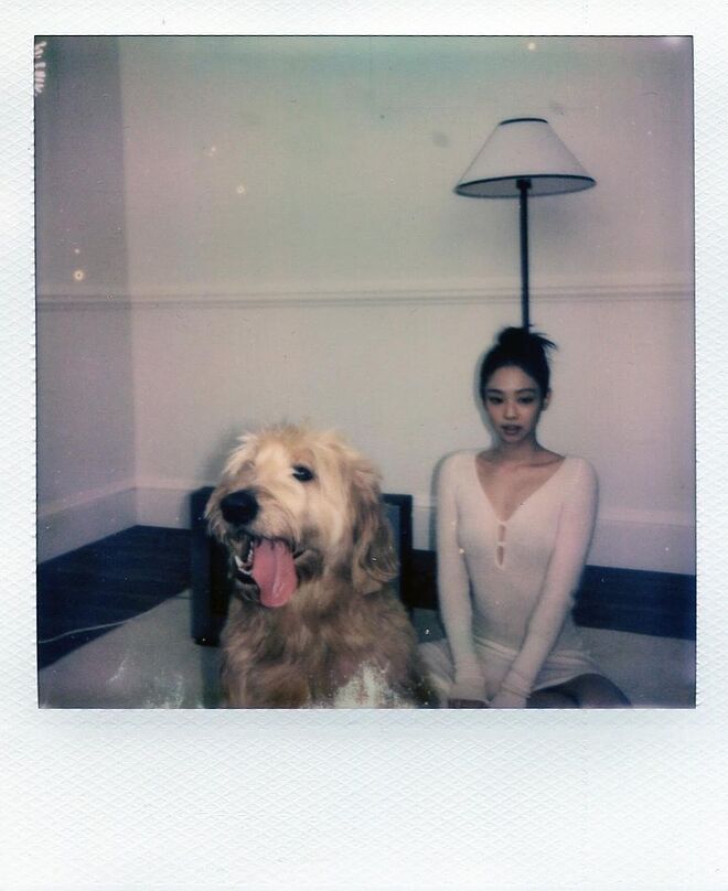 A whole day filled with happiness  @jacquemus.jpg