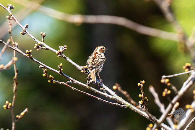 20240324 남항근린공원 004.jpg