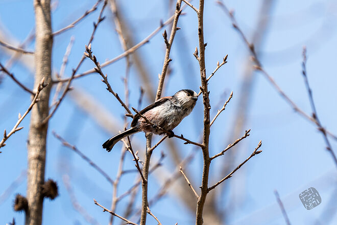 20240324 남항근린공원 021.jpg