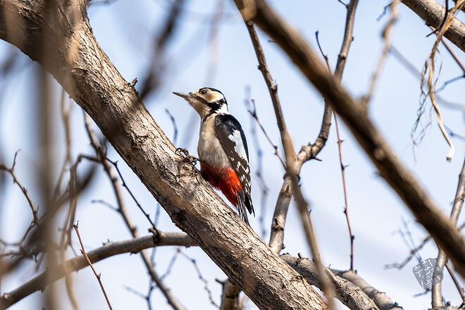 20240324 남항근린공원 017.jpg