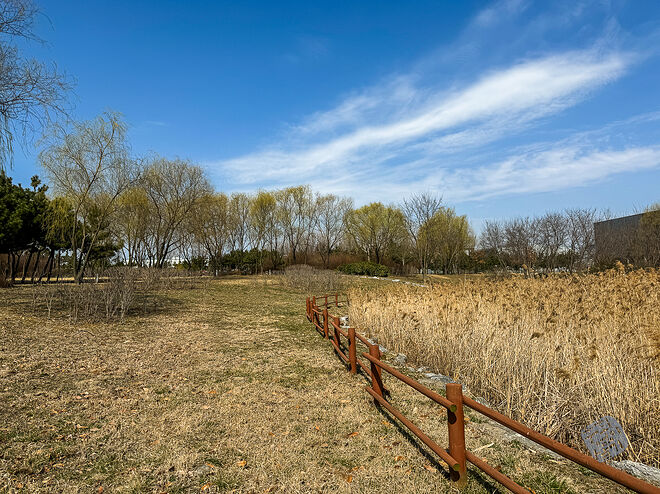 20240324 남항근린공원 009.jpg