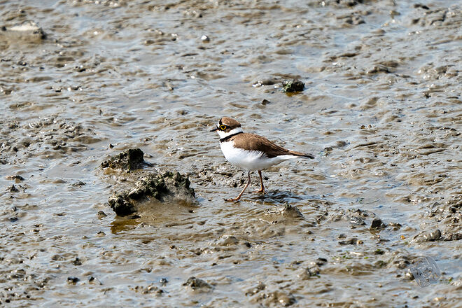20240324 남항근린공원 071.jpg