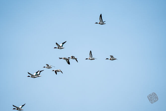 20240324 남항근린공원 052.jpg