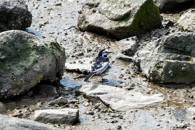 20240324 남항근린공원 079.jpg