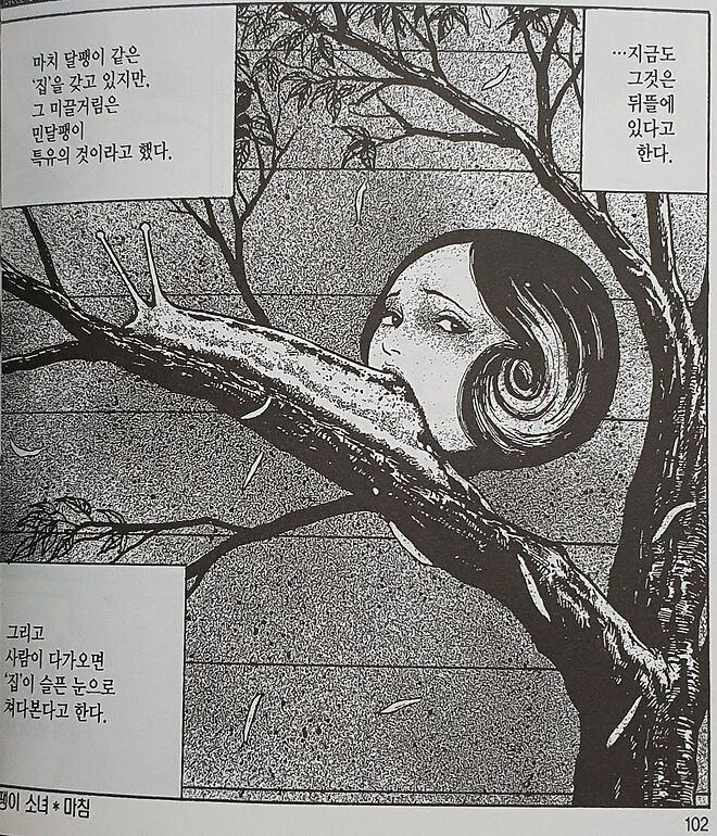[약혐] 이토 준지 - 달팽이 소녀 - DPrime