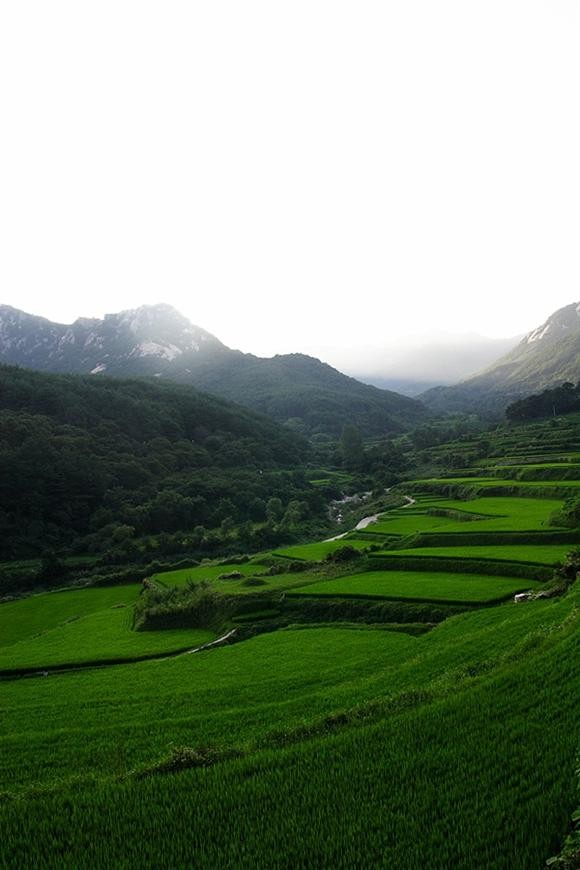 [황매산] 합천 풍경