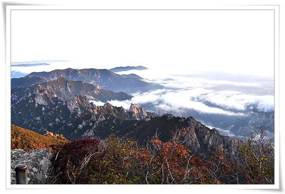 [t사진] 설악산 일출 보고 왔습니다...