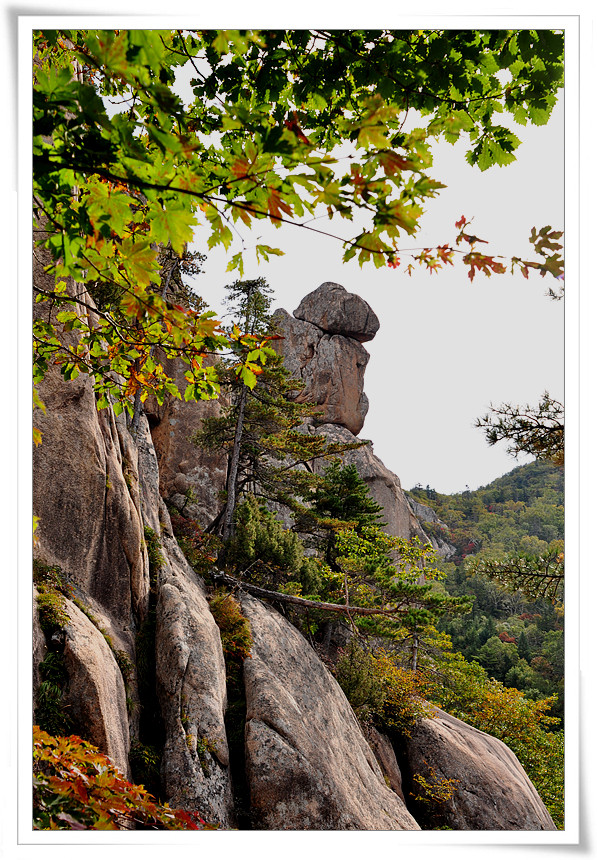 [t사진] 설악산 일출 보고 왔습니다...