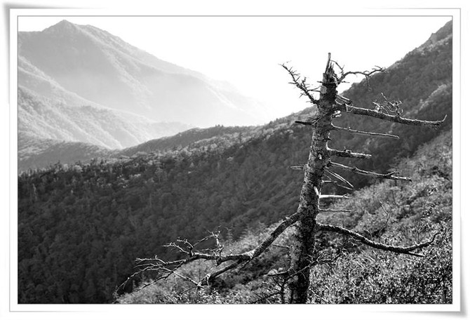 [t사진] 설악산 일출 보고 왔습니다...