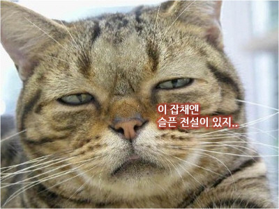 [오호~] 유뷰트 제한시간 15분이 풀렸군요.