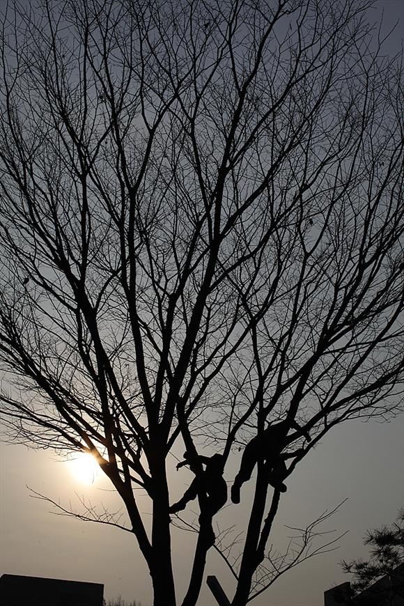 [에이핑크] 12.2 목동 핫트랙스 사인회 사진