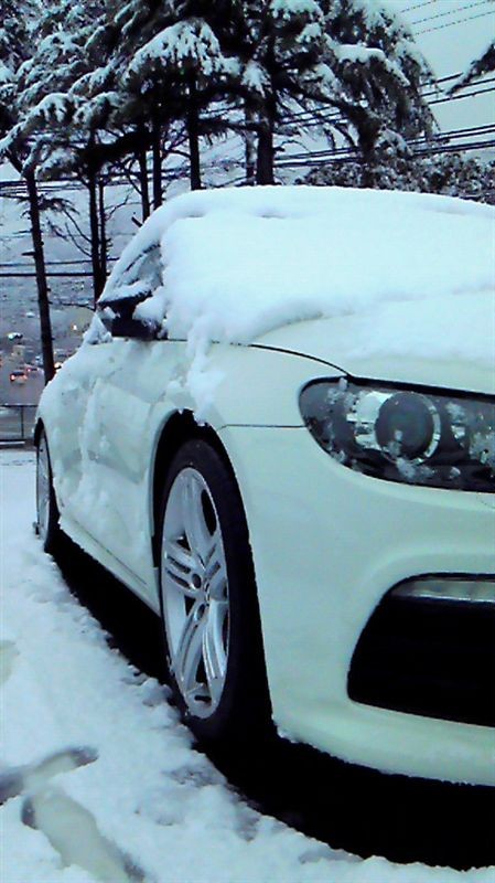 [LEXUS] CT200h 구경하고 왔습니다