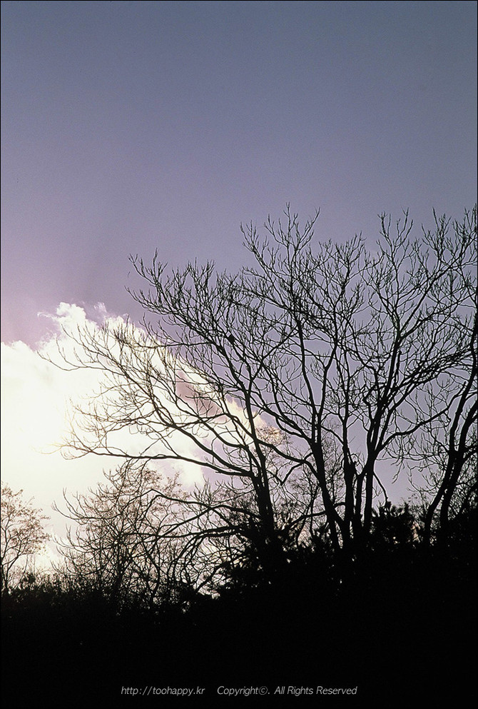 [PS3] 그란투리스모 5 외