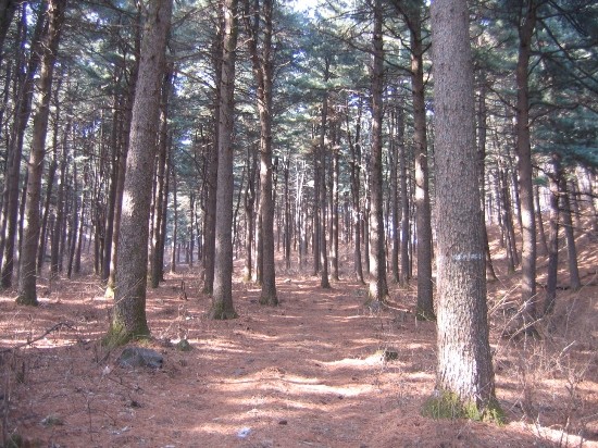 [모집!] 뜹니다! 1박2일 피서 라이딩!!!