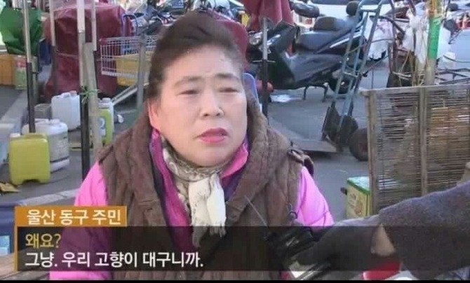 나라 팔아먹어도 지지해주는 것들.