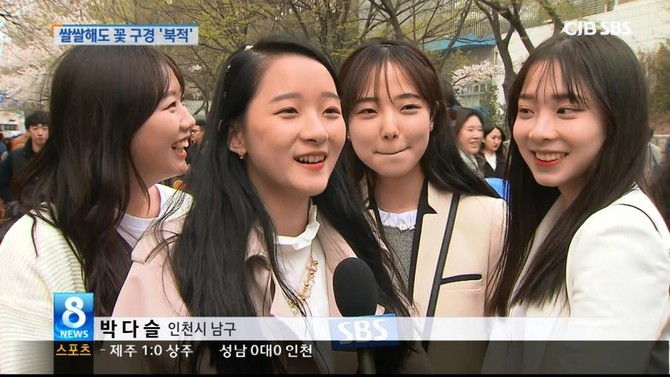 벚꽃놀이 온 처자들.jpg