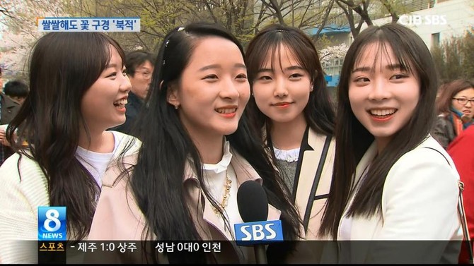 벚꽃놀이 온 처자들.jpg