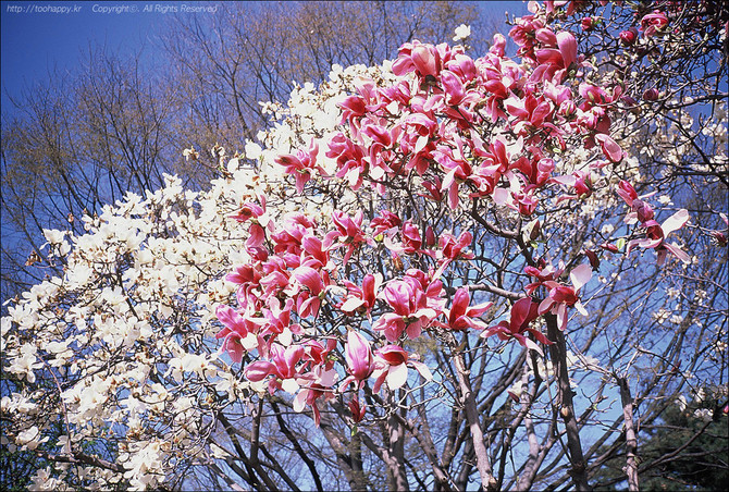 [사진] 좋은날씨 - Film #4