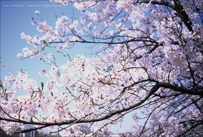 [사진] 좋은날씨 - Film #4