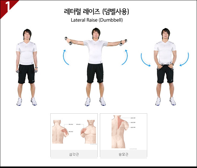 [이미지첨부] 제가 하는 각 부위별 운동방법_어깨