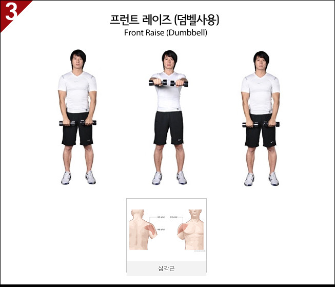 [이미지첨부] 제가 하는 각 부위별 운동방법_어깨