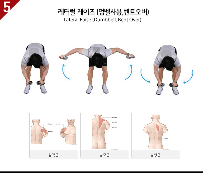 [이미지첨부] 제가 하는 각 부위별 운동방법_어깨