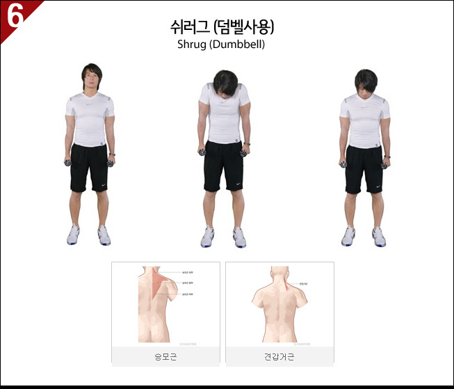 [이미지첨부] 제가 하는 각 부위별 운동방법_어깨