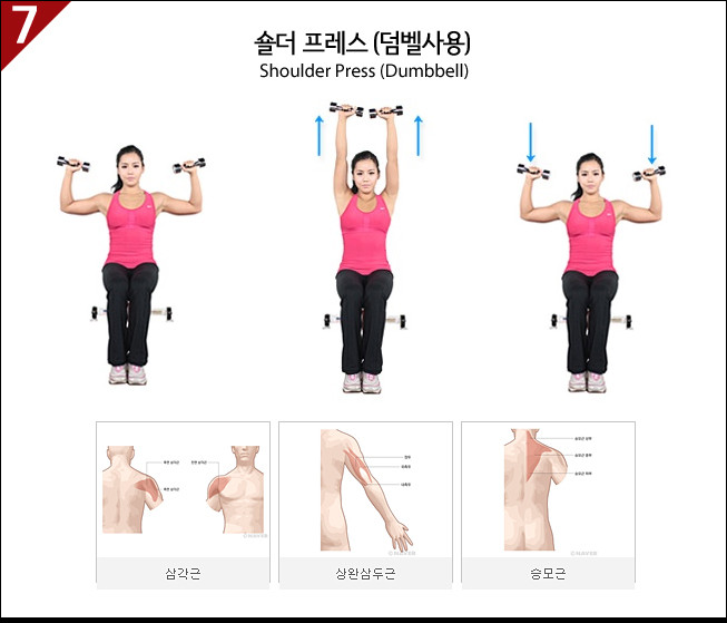 [이미지첨부] 제가 하는 각 부위별 운동방법_어깨