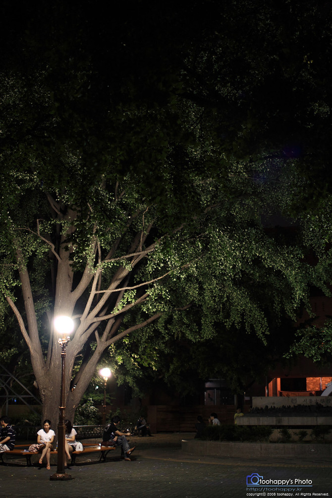 [사진] '별을 향한 여정..'