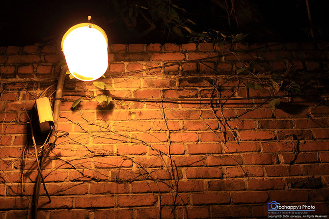 [사진] '별을 향한 여정..'