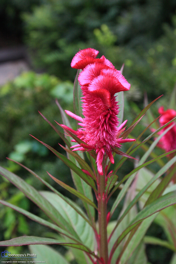 [사진] 오랜만에 번들렌즈로 풍경 몇장..