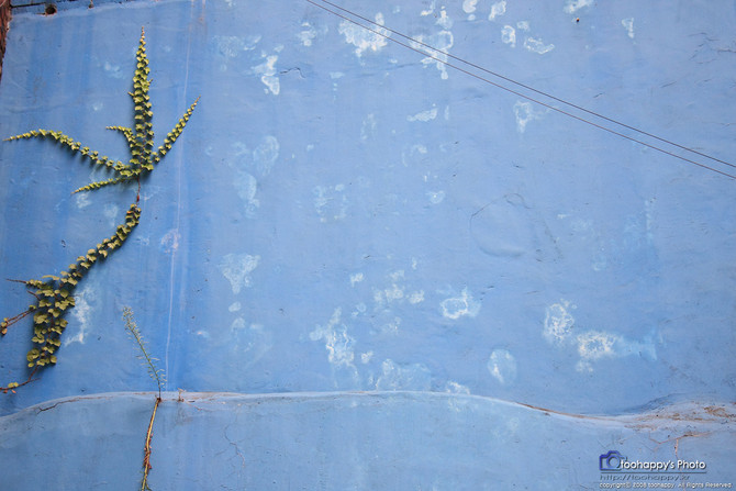 [사진] 오랜만에 번들렌즈로 풍경 몇장..