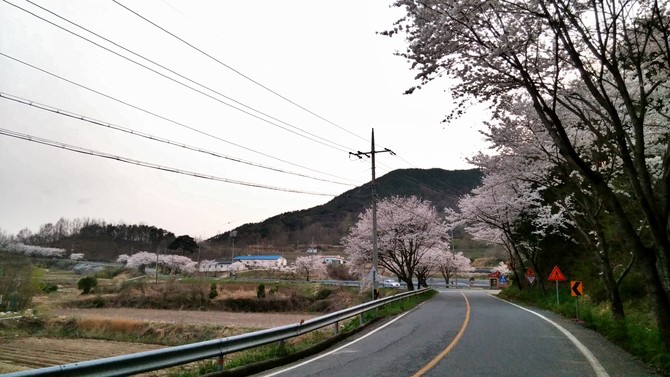 제가 태어난 곳