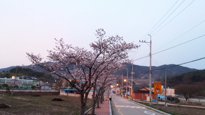 제가 태어난 곳