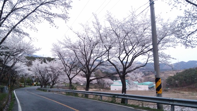 제가 태어난 곳