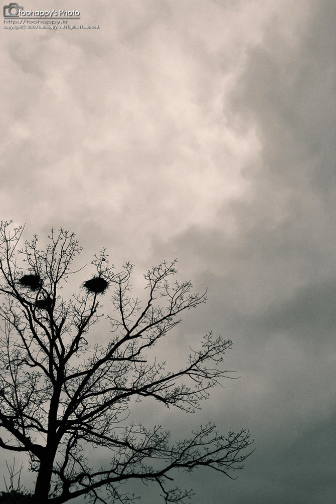 [사진] '어떤 흐린 날..'