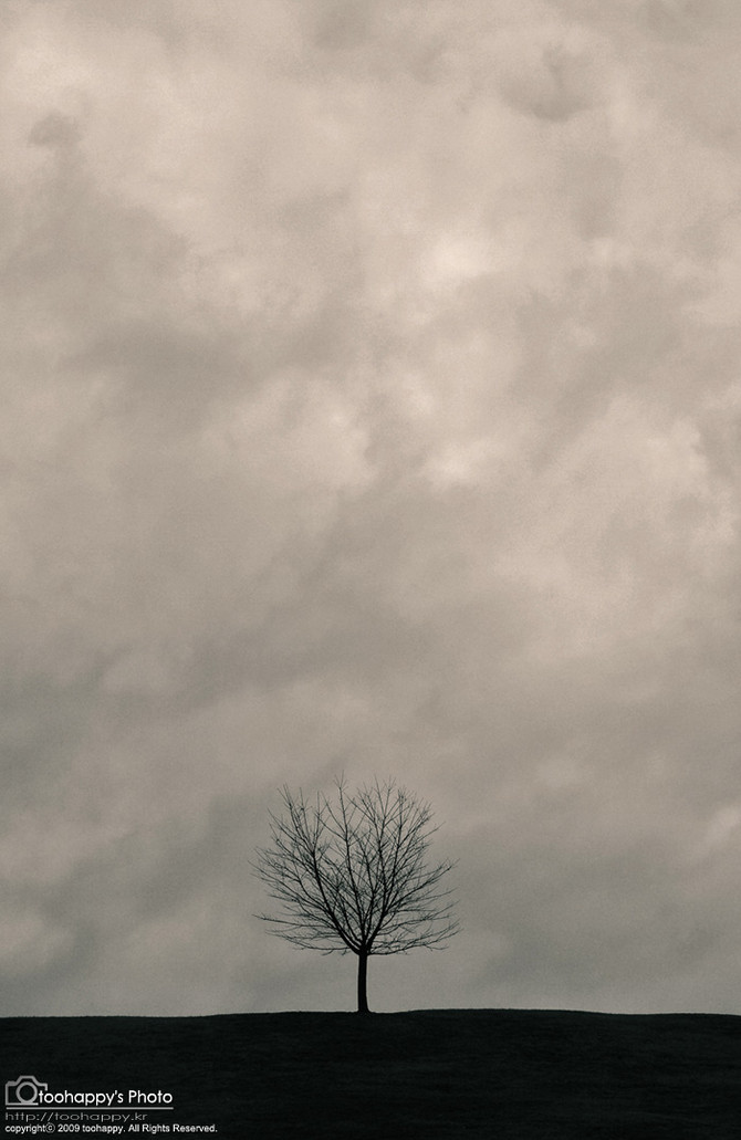 [사진] '어떤 흐린 날..'