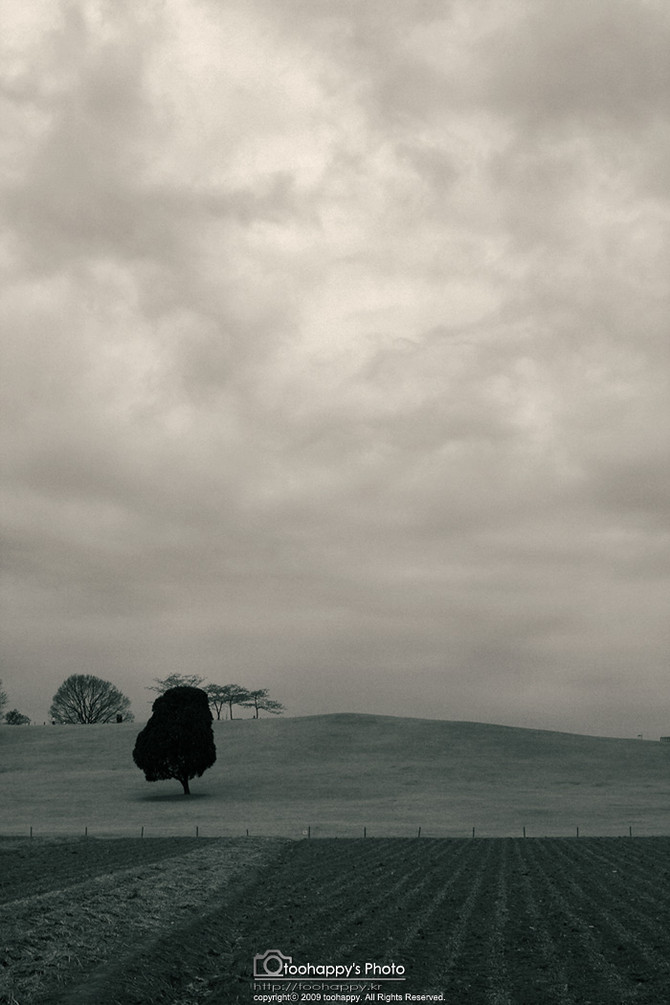 [사진] '어떤 흐린 날..'