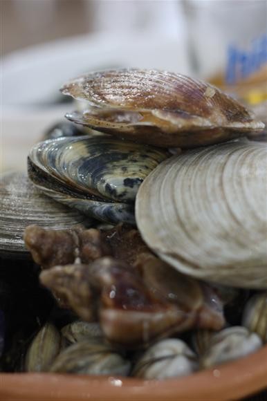 [어제] 이거 먹고 체했습니다.