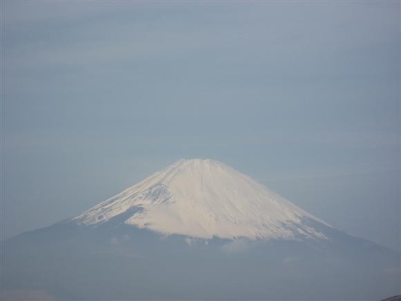 [궁금] 도쿄에 갈려하는데 두살짜리 아이랑 가볼만한 곳?