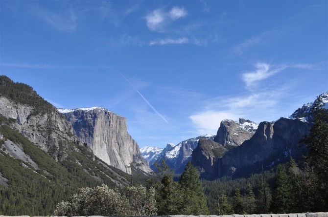 [관광?] 요세미티 (미국)국립공원 다녀왔어요~
