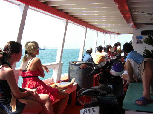 [단콘 복장] 은 어떤걸 입냐구요?