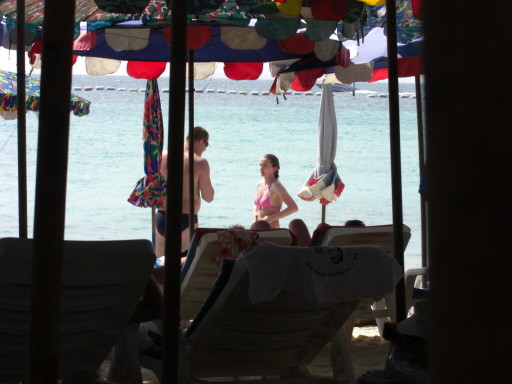 [단콘 복장] 은 어떤걸 입냐구요?