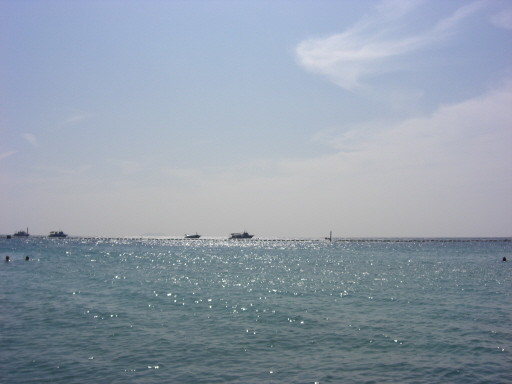 [단콘 복장] 은 어떤걸 입냐구요?