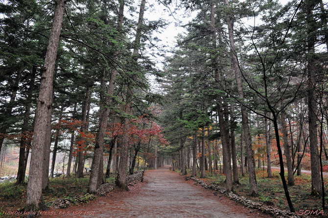 [디피지식인] 이 800W 파워 어떤가요?