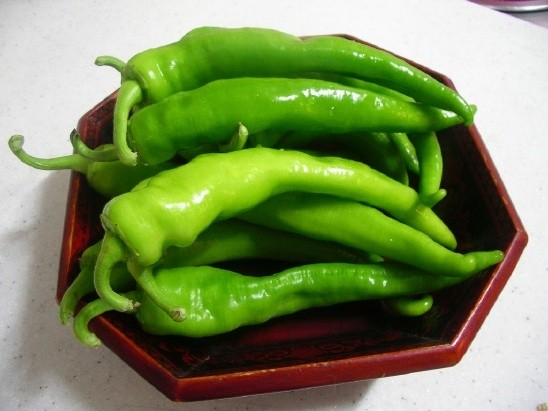 [왕잡담] 꼬추 이야기