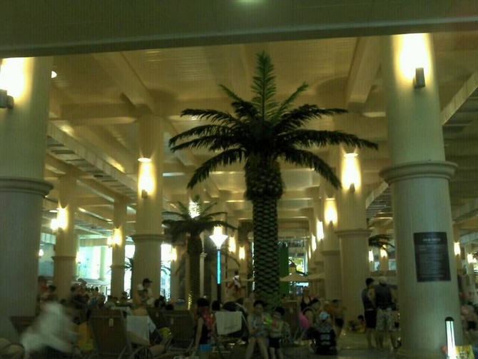 [DPⓐ] 초딩들 데리고 워터파크왔네요